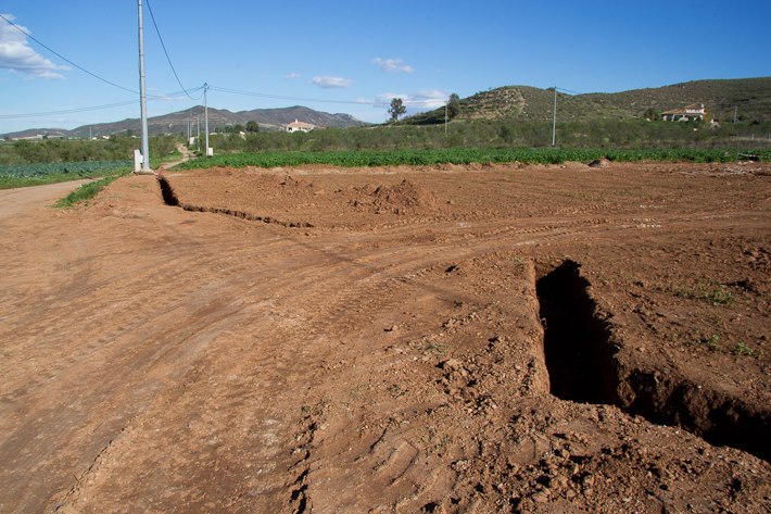 386559_556397137710642_1631517808_n