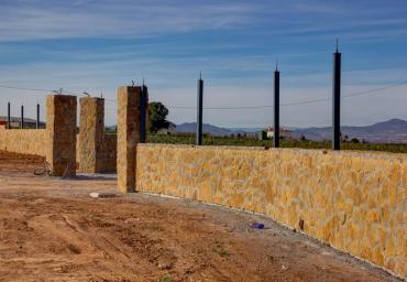 10992_603578789659143_935168022_n